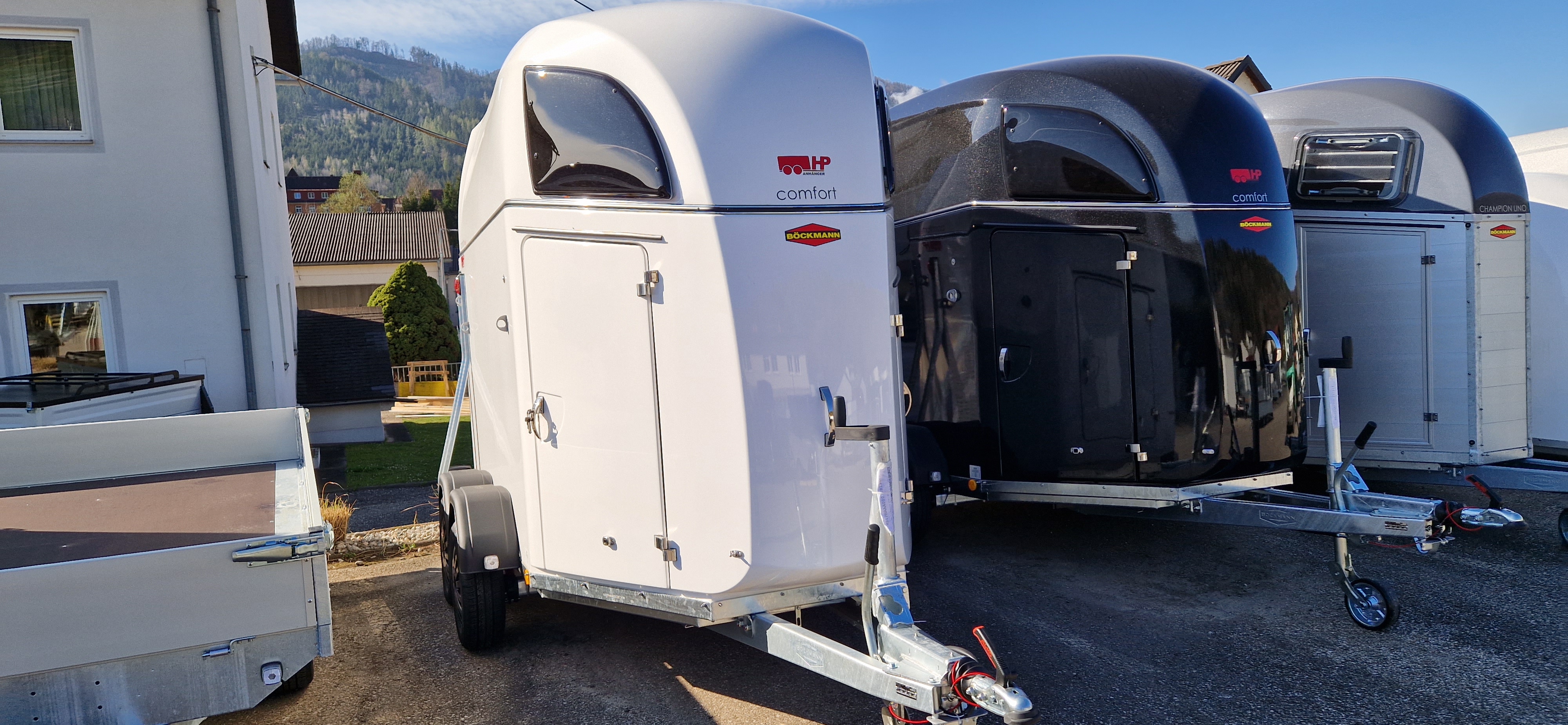 Pferdeanhänger Böckmann Comfort ECO, Vollpoly 2400 kg Gesamtgewicht